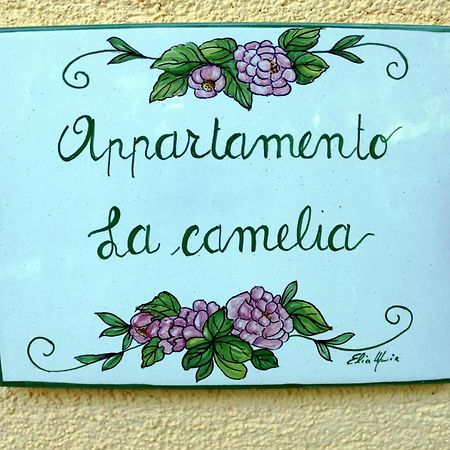 Appartamenti L'Olivo Bagnone Luaran gambar