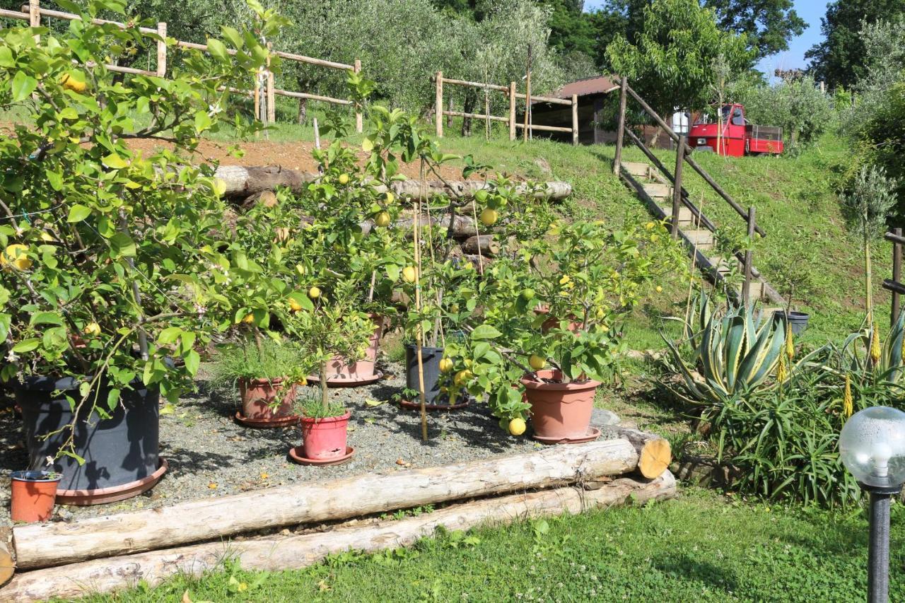 Appartamenti L'Olivo Bagnone Luaran gambar