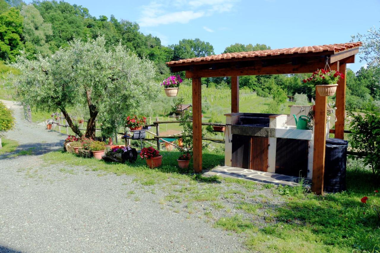 Appartamenti L'Olivo Bagnone Luaran gambar